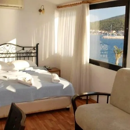 ホテル ケルマーン 3*