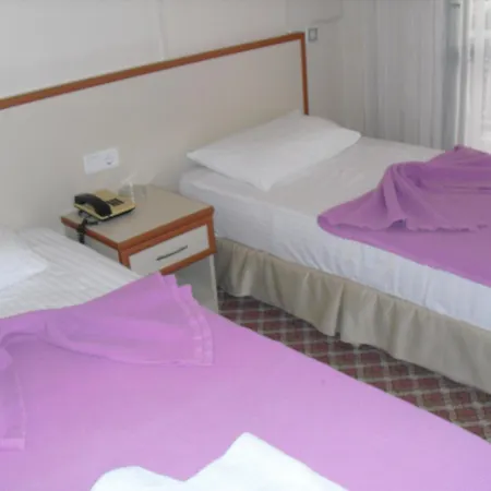 ホテル ケルマーン 3*