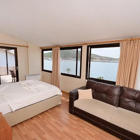 ホテル ケルマーン 3*