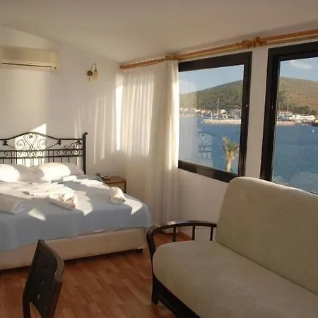 ケルマーン ホテル 3*