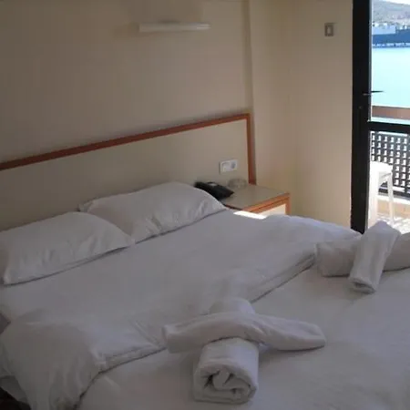 ホテル ケルマーン 3*